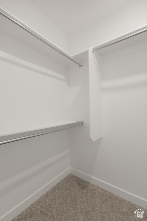 Walk in closet with carpet flooring