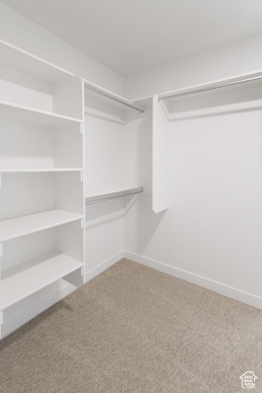 Walk in closet featuring carpet