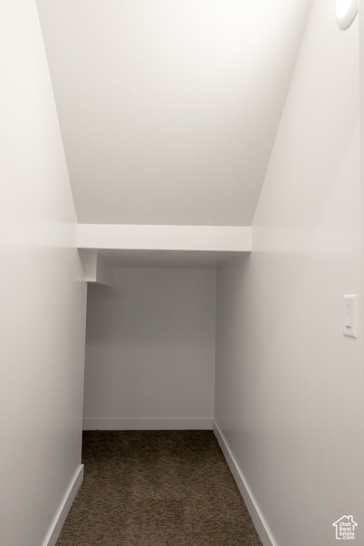 Bonus room with carpet and vaulted ceiling