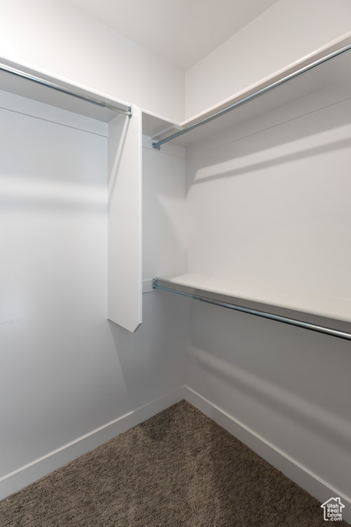 Walk in closet with carpet