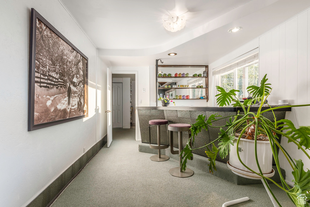 Interior space with carpet floors