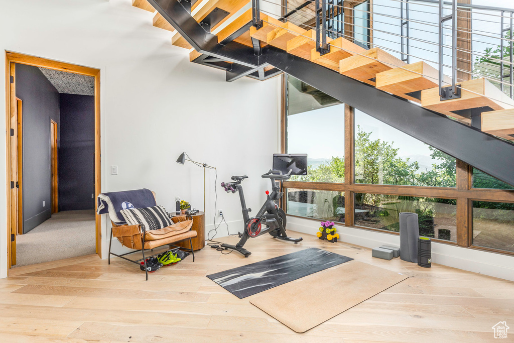 Exterior space featuring a healthy amount of sunlight and light wood-type flooring