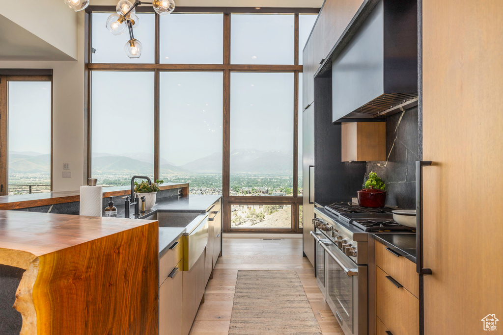 Kitchen featuring tasteful backsplash, wall chimney range hood, a mountain view, light hardwood / wood-style floors, and high end stainless steel range