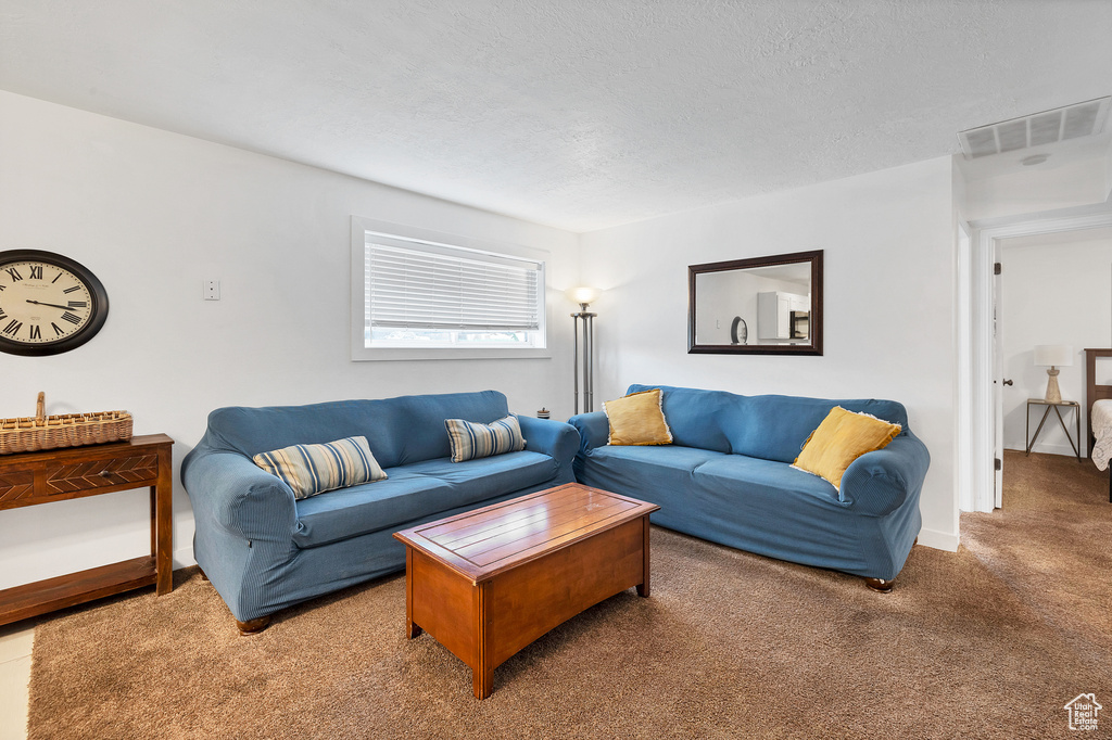 Living room featuring carpet flooring and a textured ceiling