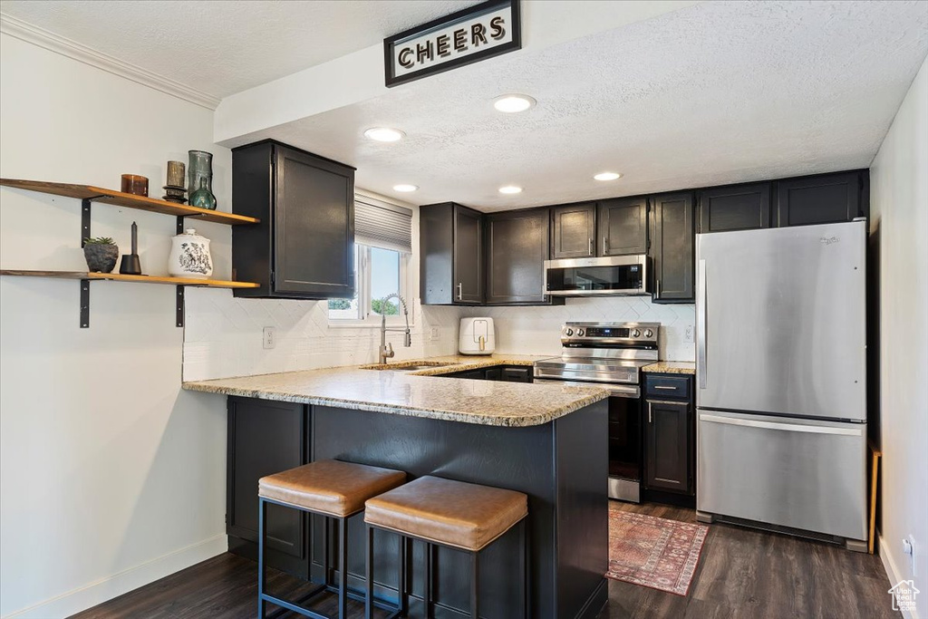 Kitchen featuring tasteful backsplash, kitchen peninsula, dark wood-type flooring, stainless steel appliances, and sink