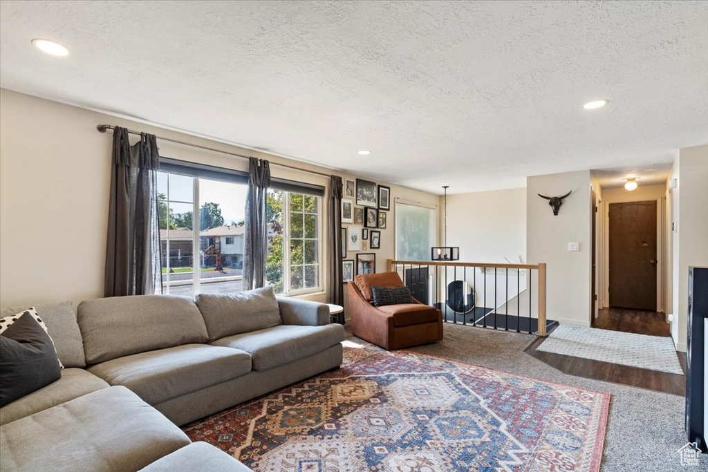 Living room featuring a textured ceiling and hardwood / wood-style flooring