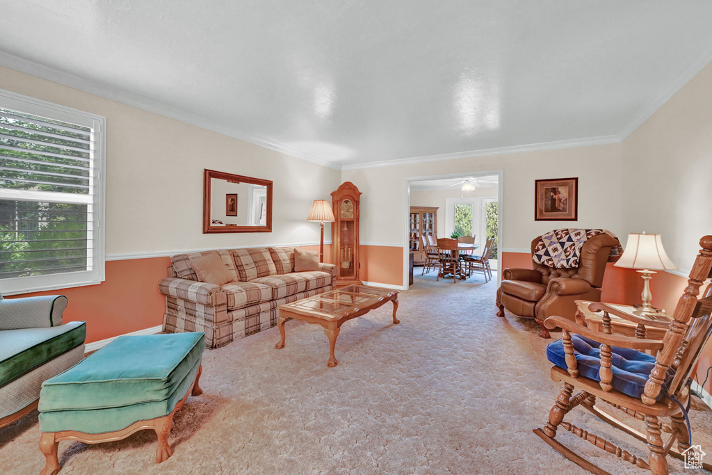 Living room with carpet flooring, crown molding, and ceiling fan