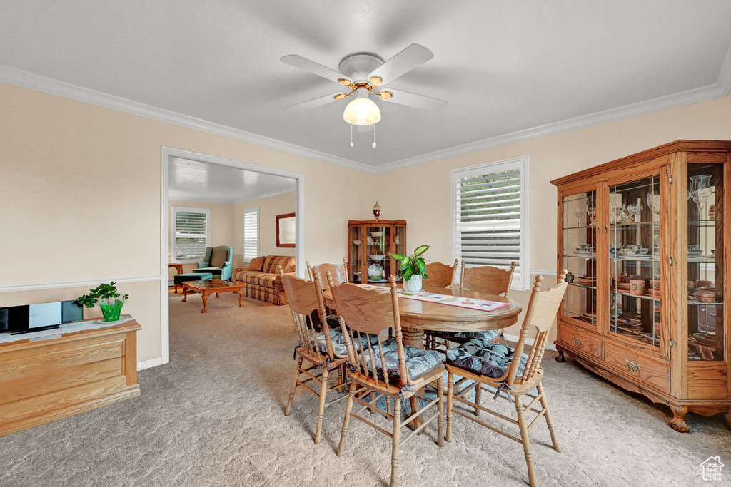 Carpeted dining space with ceiling fan and ornamental molding