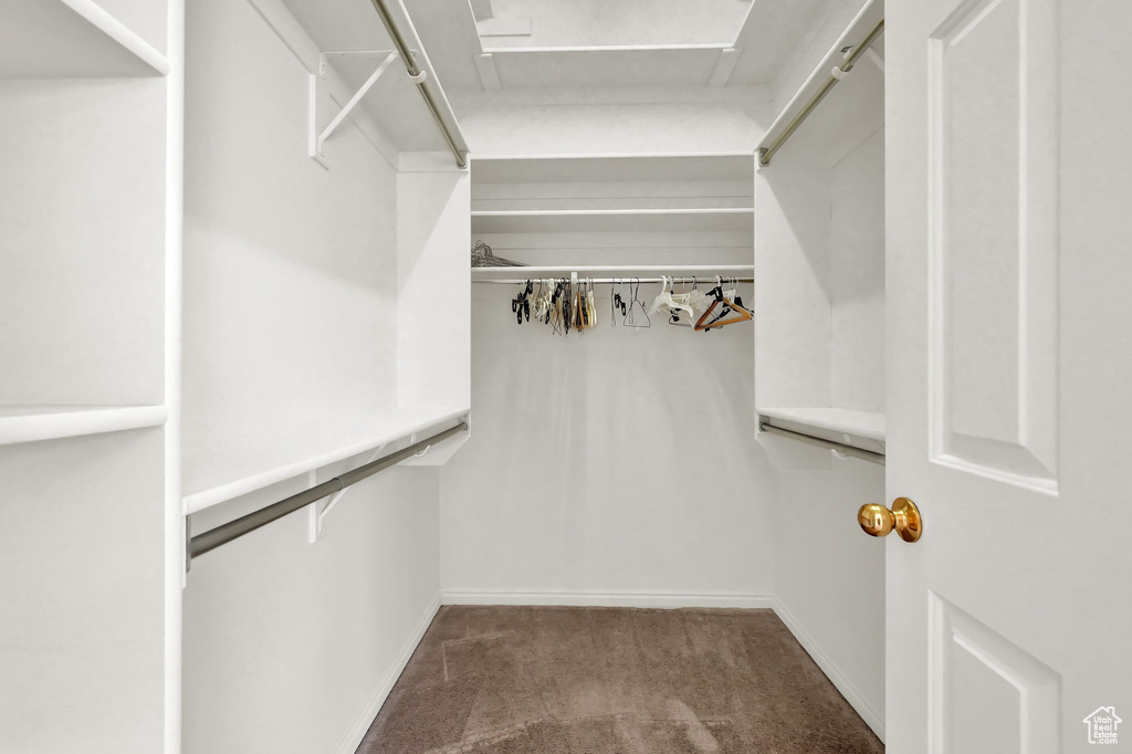 Walk in closet with dark carpet