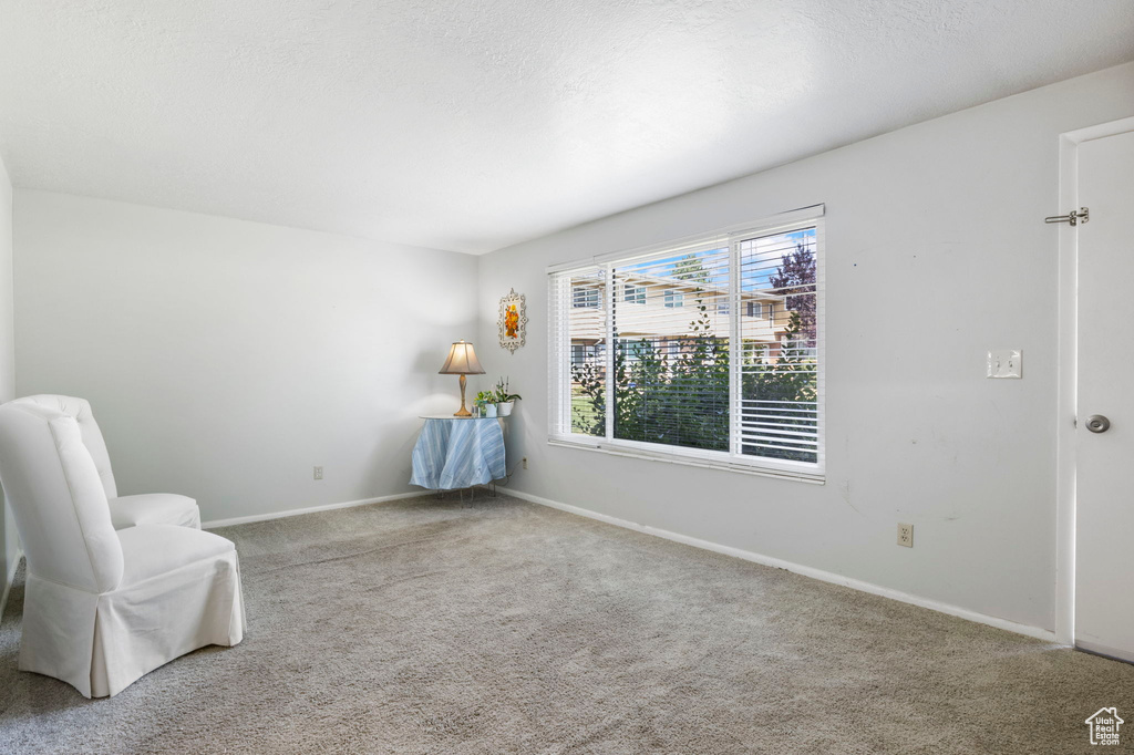 Unfurnished room featuring carpet flooring