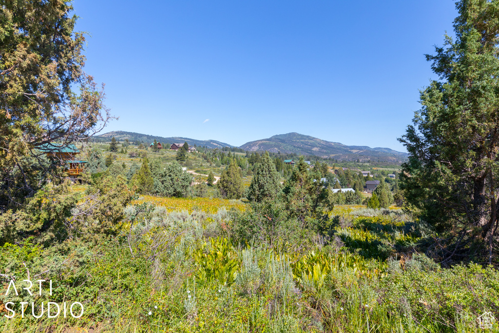 Property view of mountains