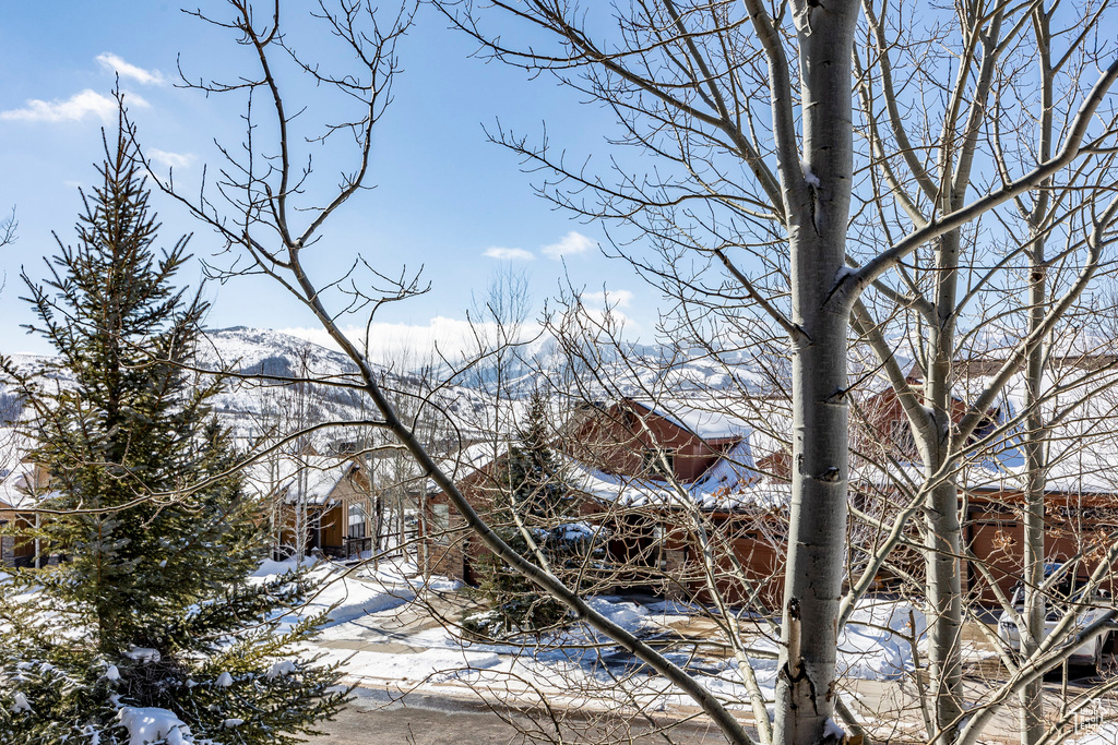 Snowy landscape with a mountain view
