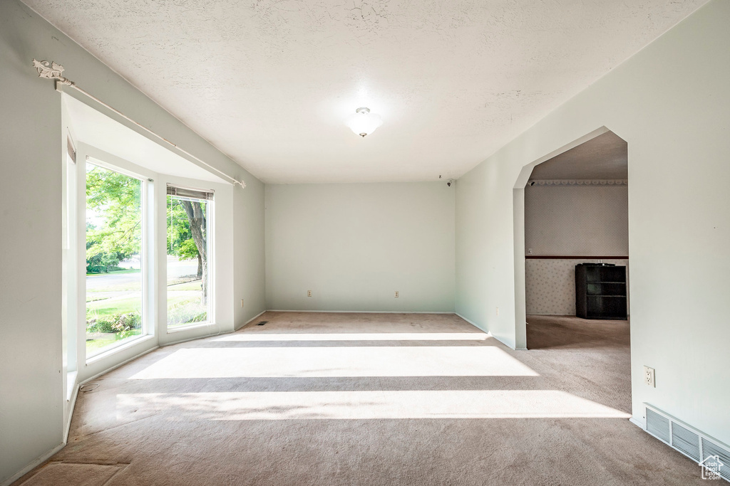 Empty room with a textured ceiling, light colored carpet, and plenty of natural light