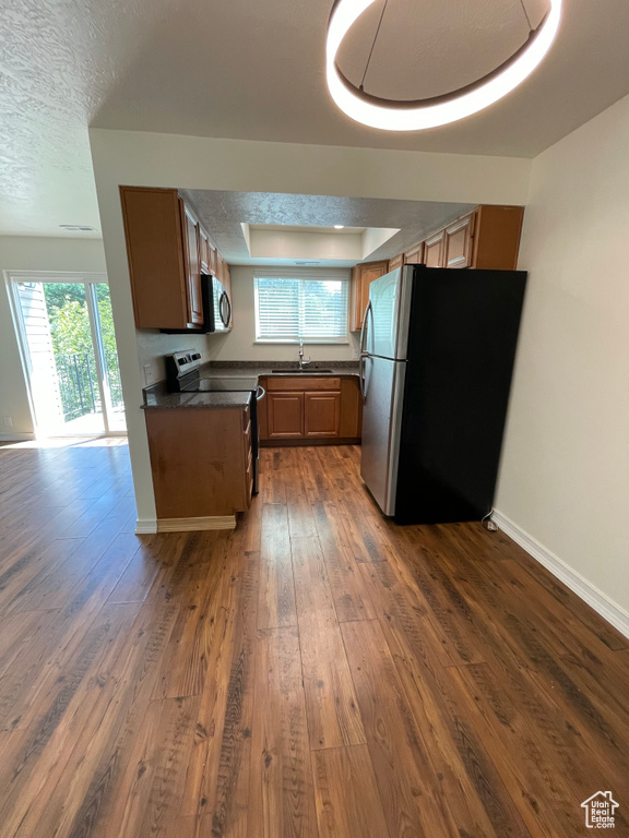 Kitchen featuring dark hardwood / wood-style floors, a raised ceiling, appliances with stainless steel finishes, and sink