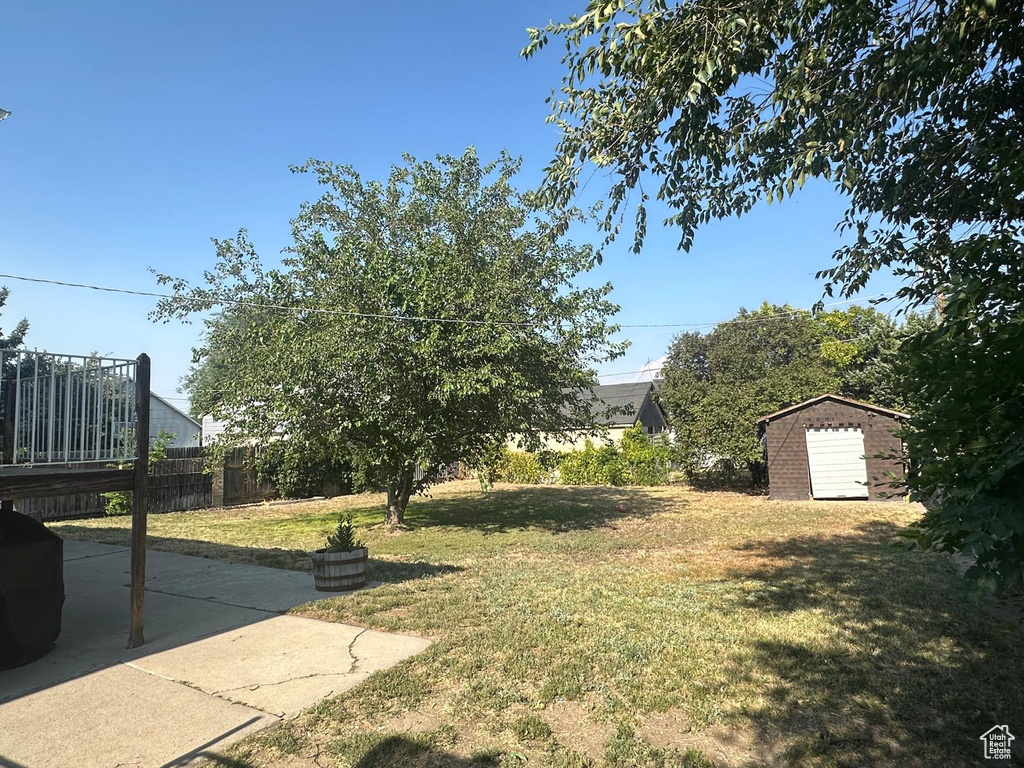 View of yard featuring a patio area and a storage unit