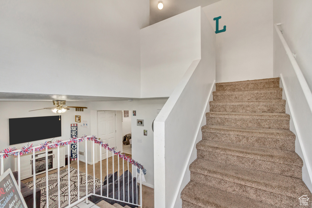 Stairs with carpet flooring and ceiling fan