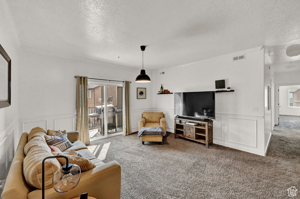 Living room featuring carpet and a textured ceiling