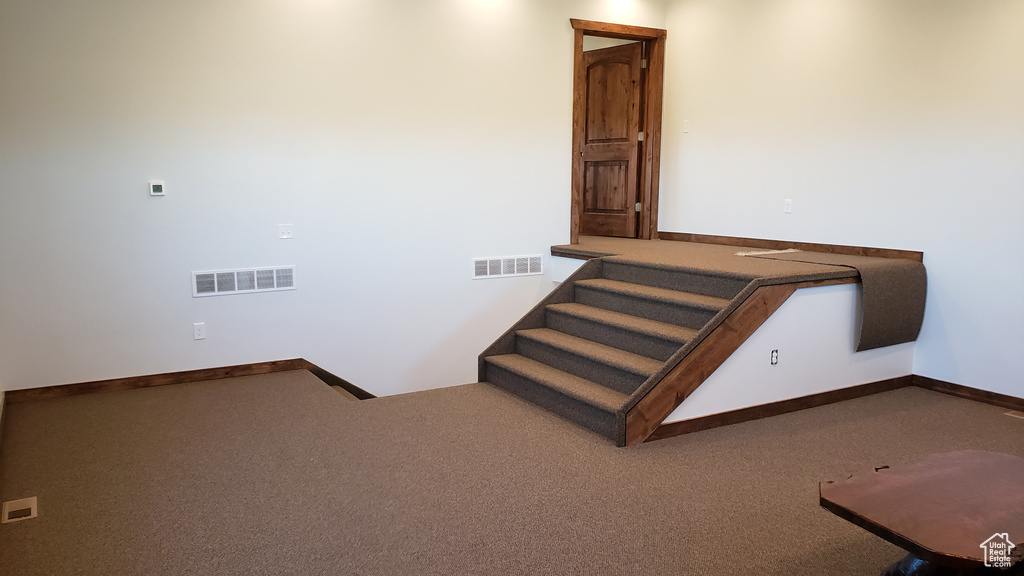 Stairway with carpet flooring