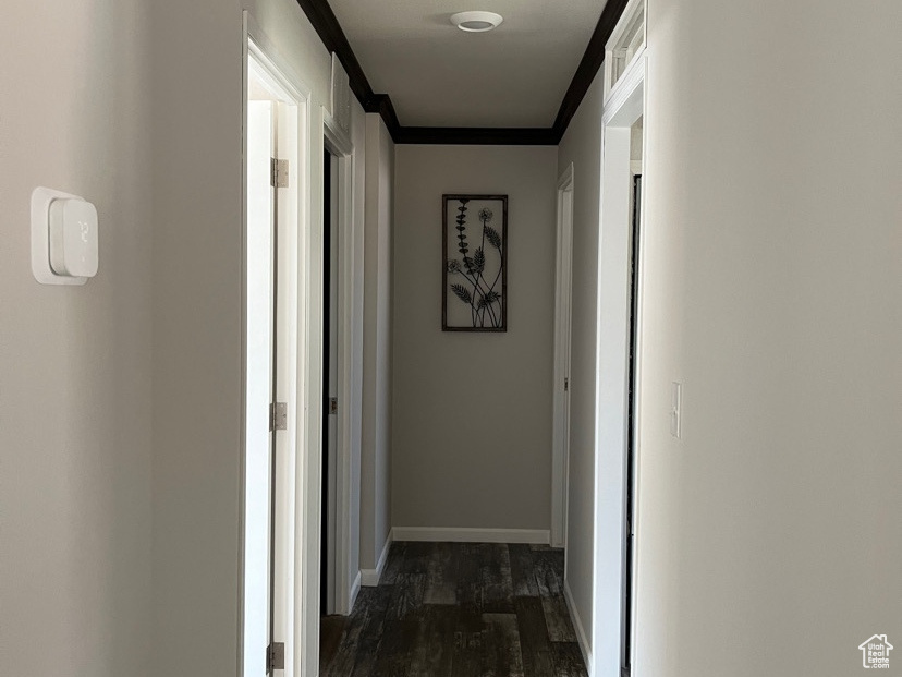 Hallway with dark hardwood / wood-style flooring and crown molding