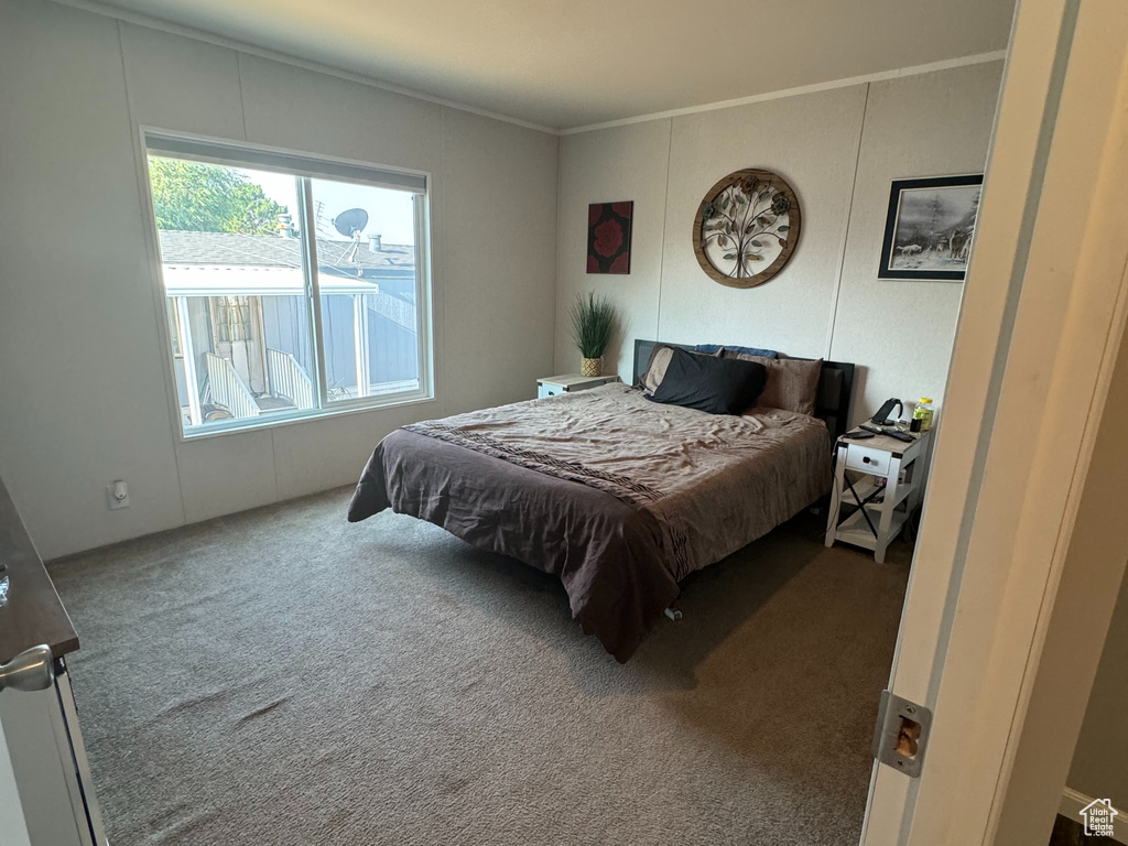 Carpeted bedroom featuring crown molding and billiards