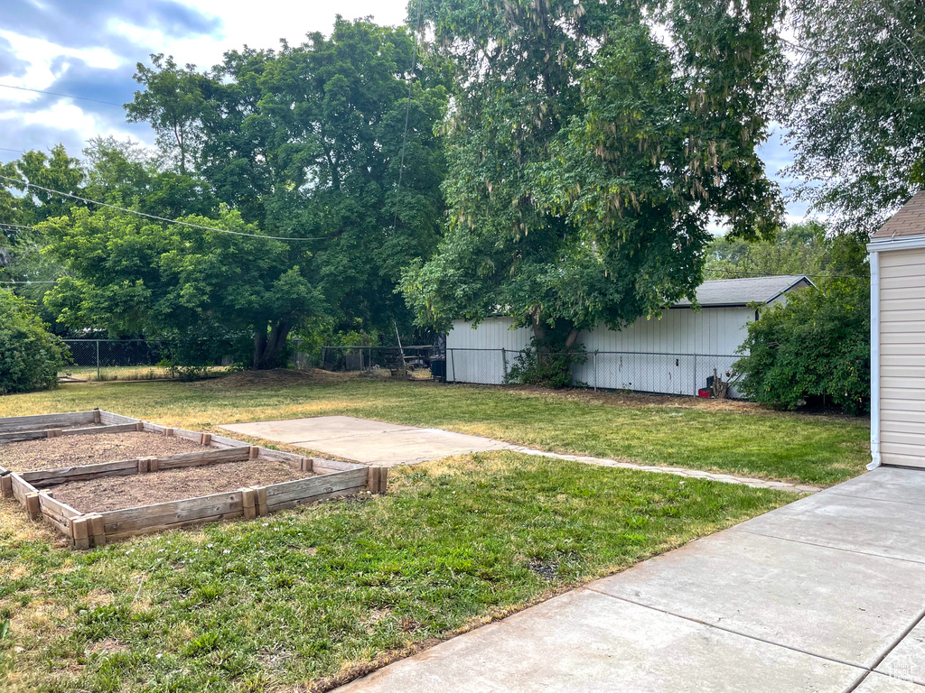 View of yard featuring a patio