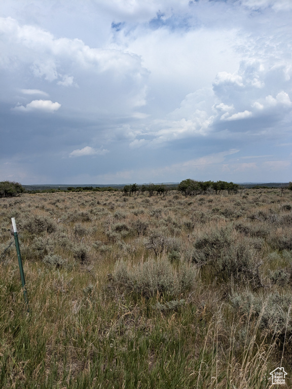 View of local wilderness featuring a rural view