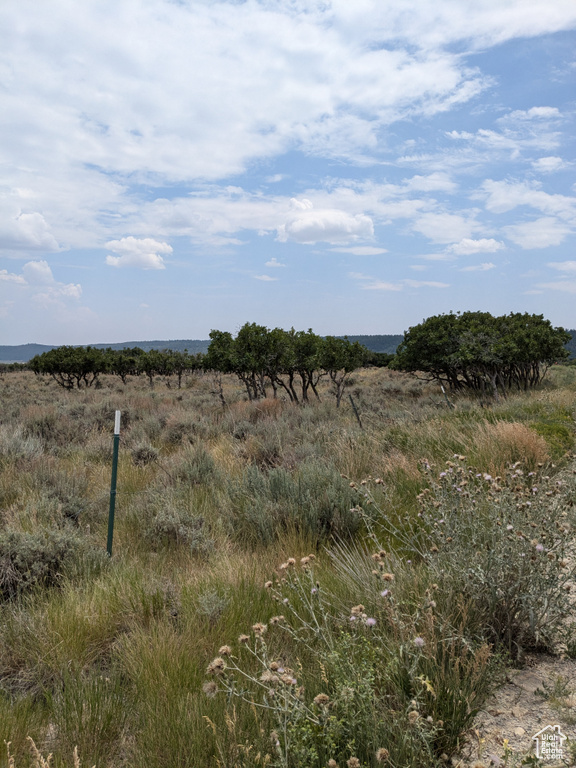 View of nature featuring a rural view