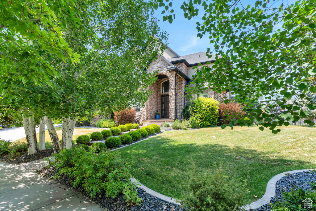 View of property hidden behind natural elements featuring a front lawn