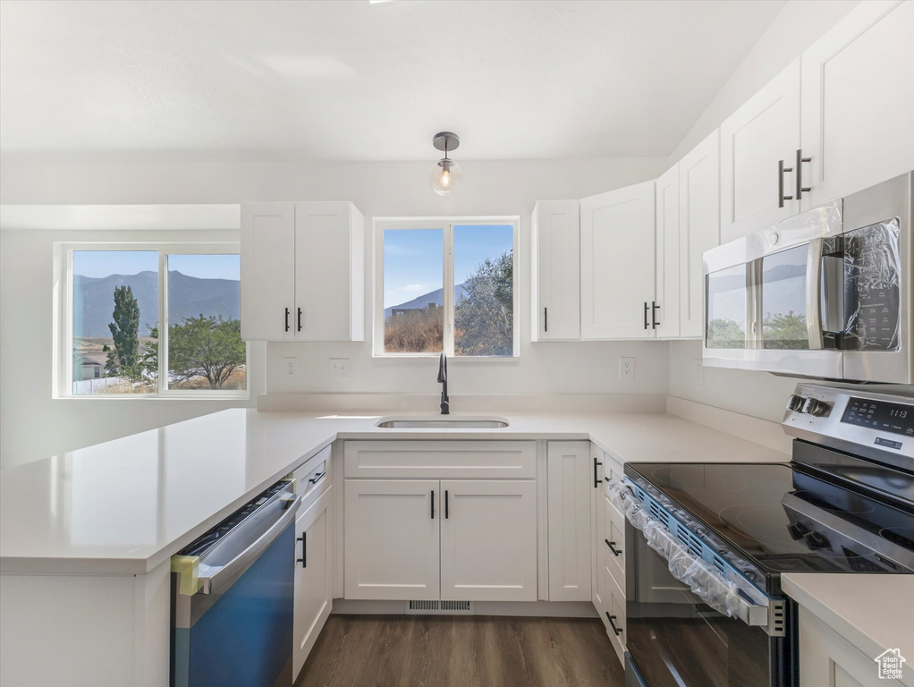 Kitchen with white cabinetry, stainless steel appliances, dark hardwood / wood-style flooring, and sink