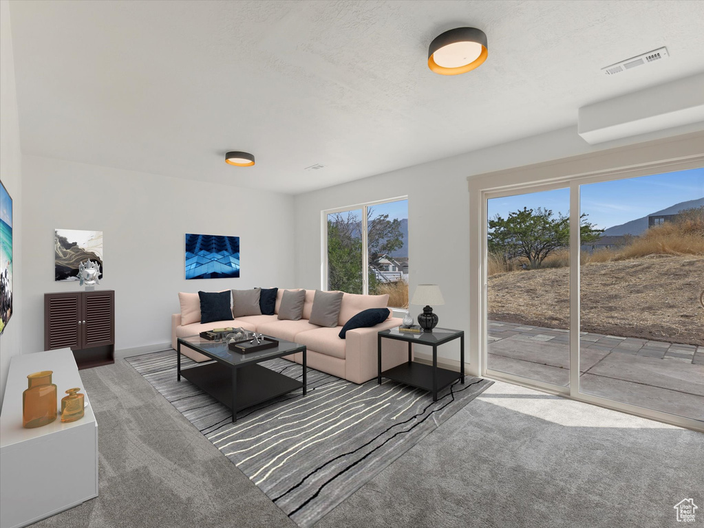 Living room featuring carpet floors