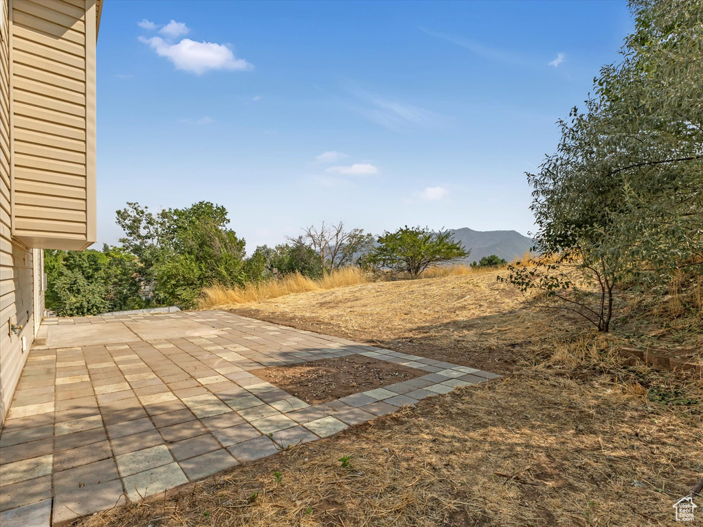 View of yard featuring a patio