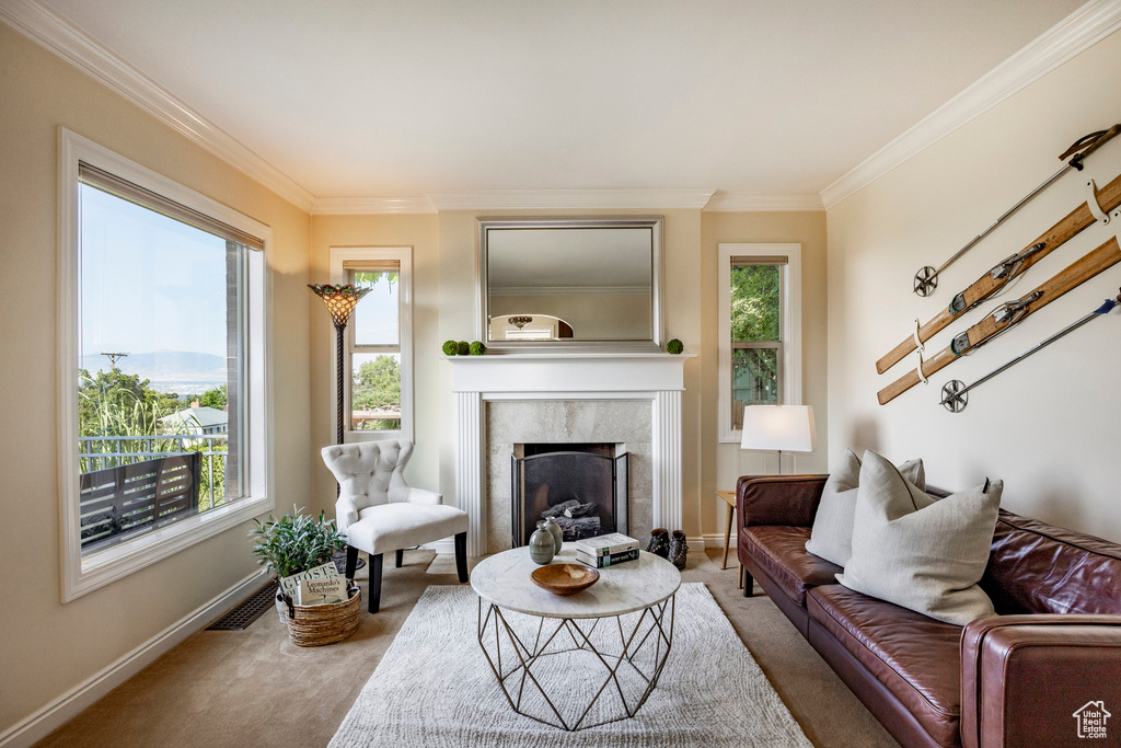 Living room featuring carpet floors, a high end fireplace, and ornamental molding