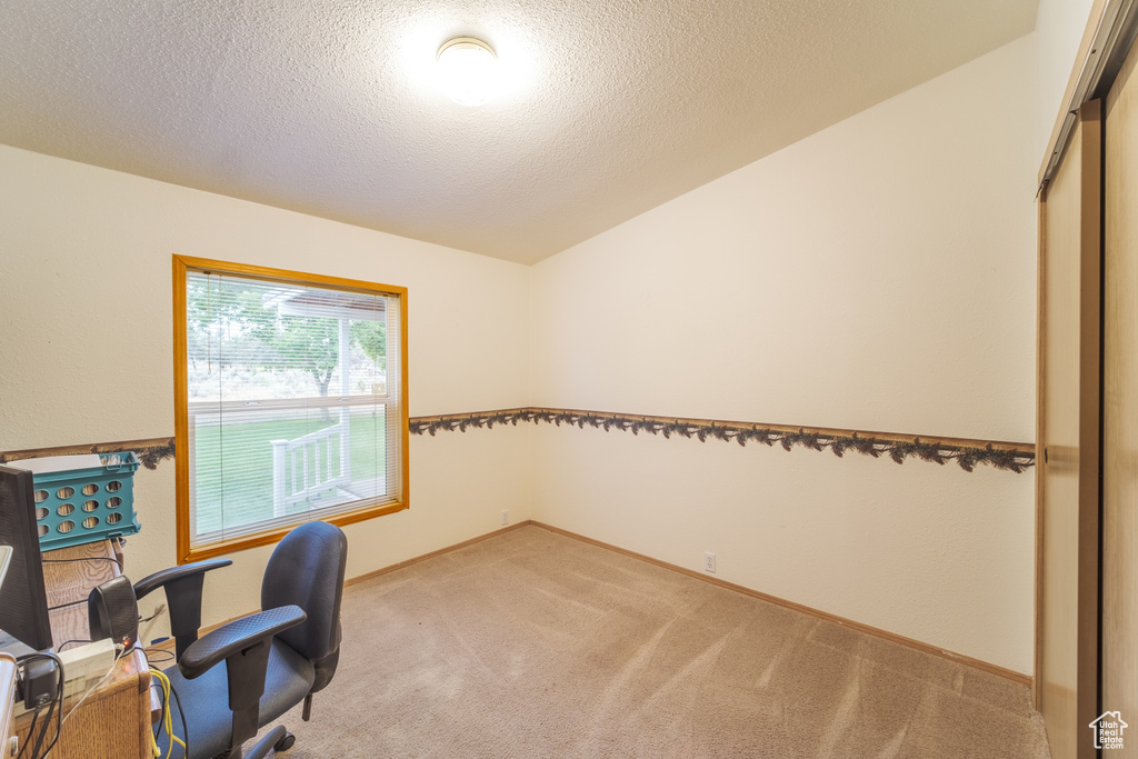 Home office featuring light carpet, vaulted ceiling, and a textured ceiling