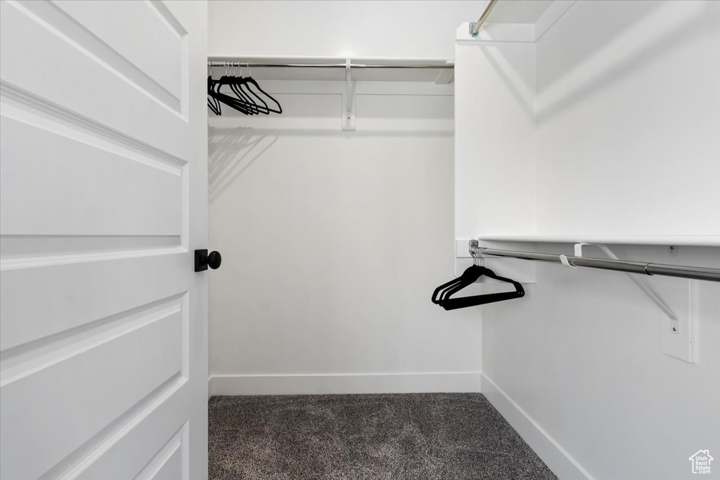 Walk in closet with dark colored carpet