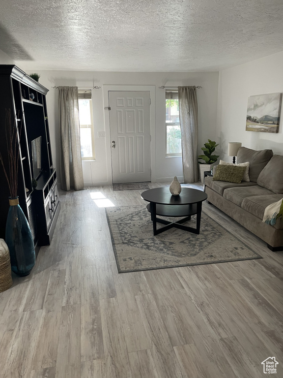 Living room with a textured ceiling and hardwood / wood-style flooring