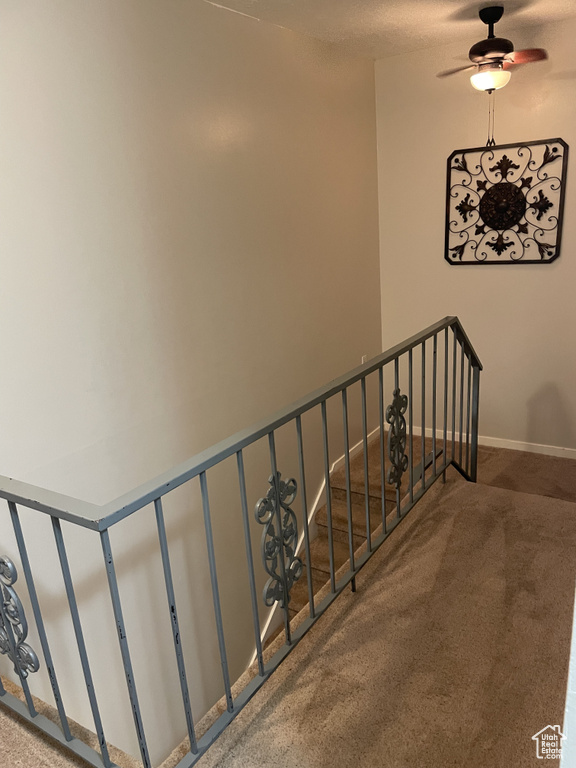 Staircase featuring carpet and ceiling fan