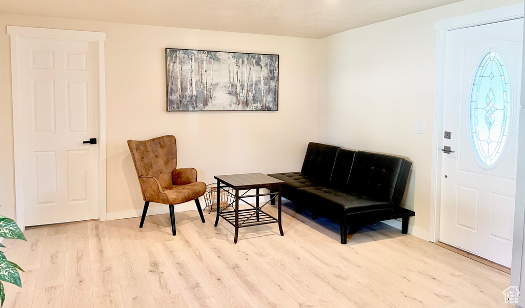 Foyer entrance featuring light hardwood / wood-style flooring