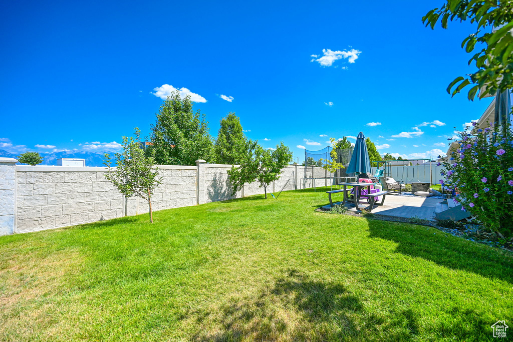 View of yard with a patio area