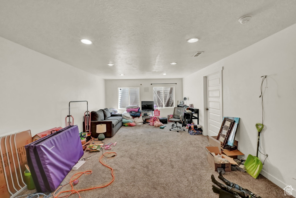 Recreation room with carpet floors and a textured ceiling