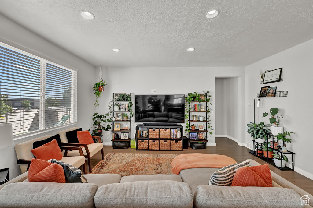 Living room featuring wood-type flooring and a textured ceiling