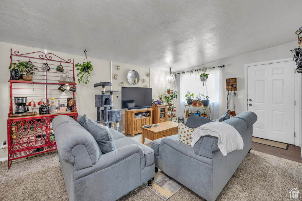 Living room featuring light hardwood / wood-style floors and a textured ceiling