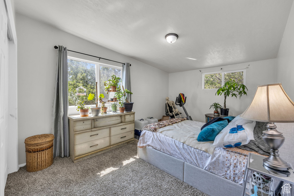 Bedroom with light colored carpet