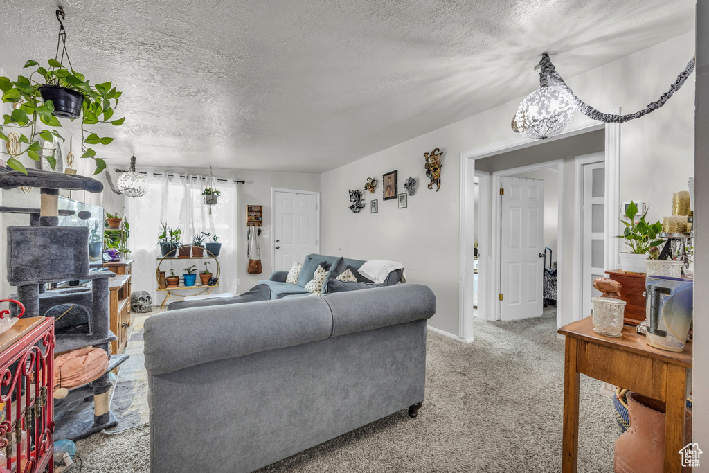 Living room featuring carpet flooring, a textured ceiling, and a chandelier