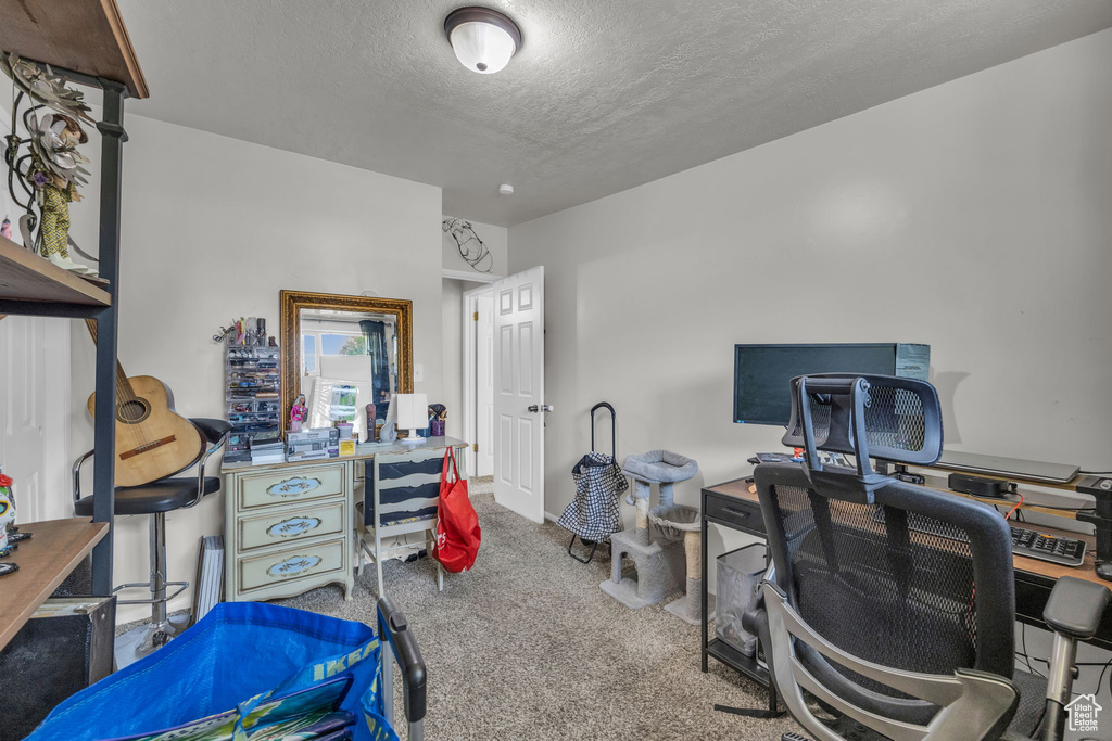 Carpeted office space with a textured ceiling