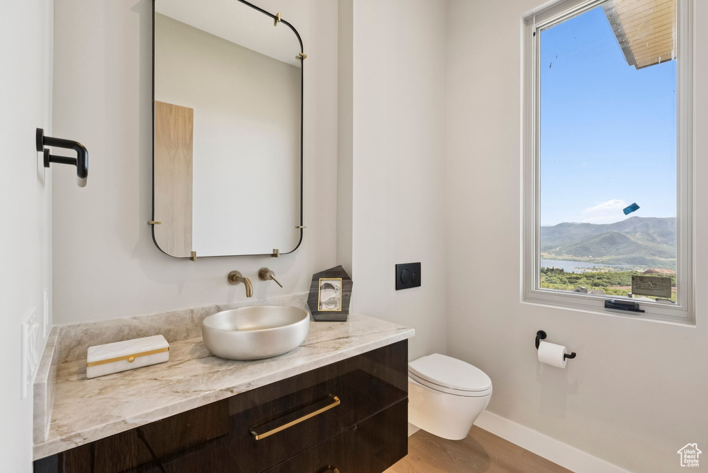 Bathroom featuring plenty of natural light, vanity, wood finished floors, and a mountain view