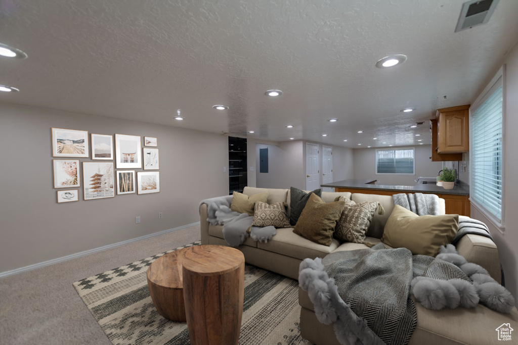 Carpeted living room with a textured ceiling