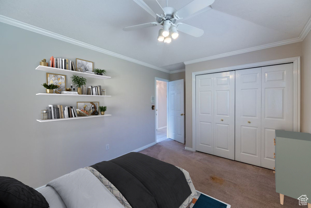 Carpeted bedroom with ornamental molding, a closet, and ceiling fan