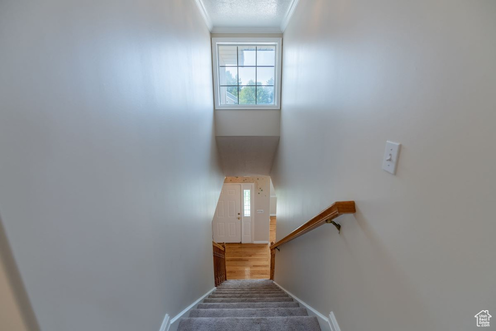 Stairway featuring wood-type flooring and crown molding