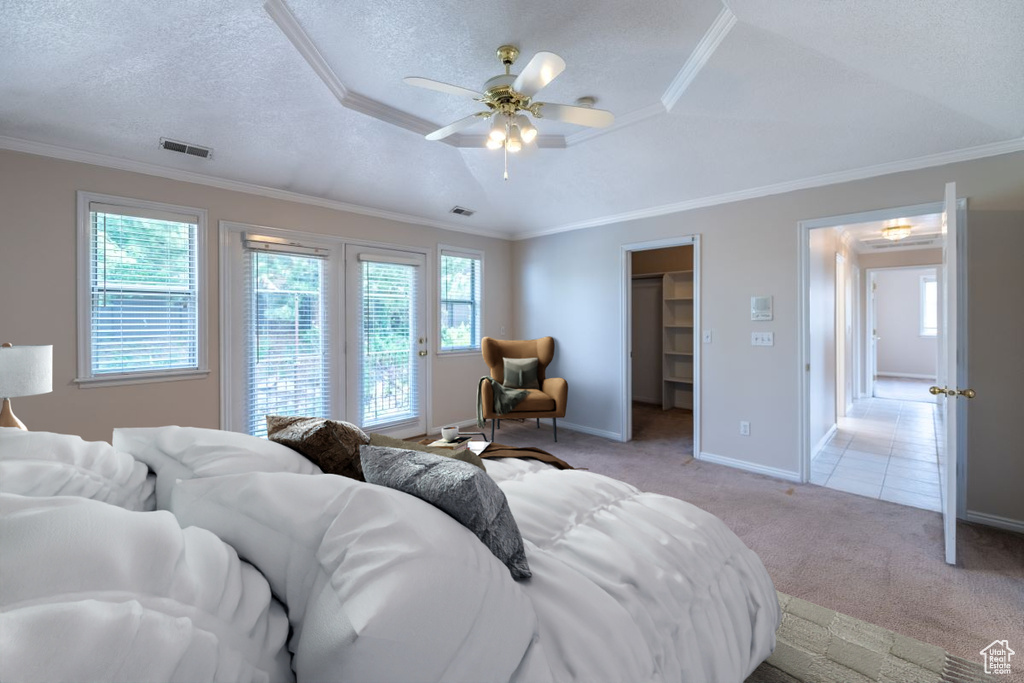 Carpeted bedroom with ceiling fan, a walk in closet, ornamental molding, a raised ceiling, and a textured ceiling