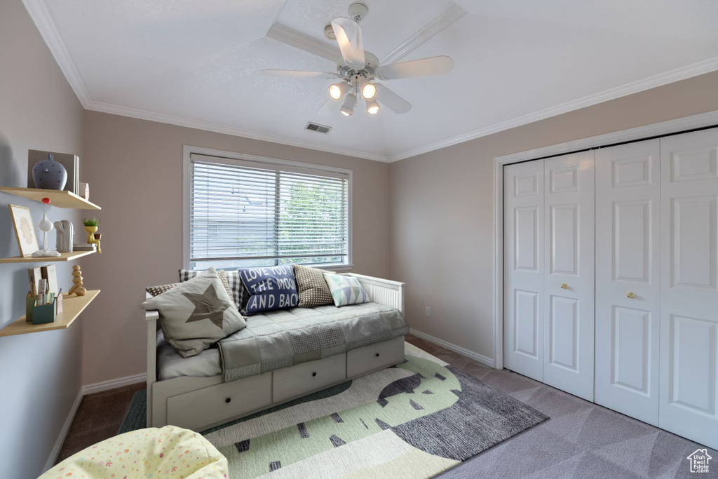 Interior space with carpet floors, ceiling fan, ornamental molding, and a closet